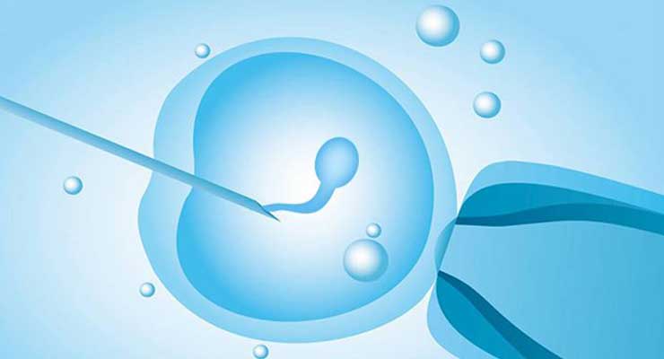借卵试管婴儿移植所需的优质胚胎从何而来？
