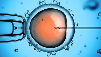 供卵试管婴儿中甲状腺激素高-供卵试管婴儿中甲状腺高可以移植吗