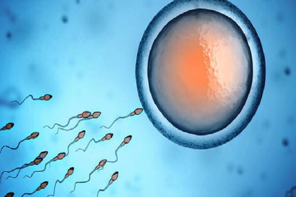 创造生命奇迹的体外胚胎实验室是什么样子的？