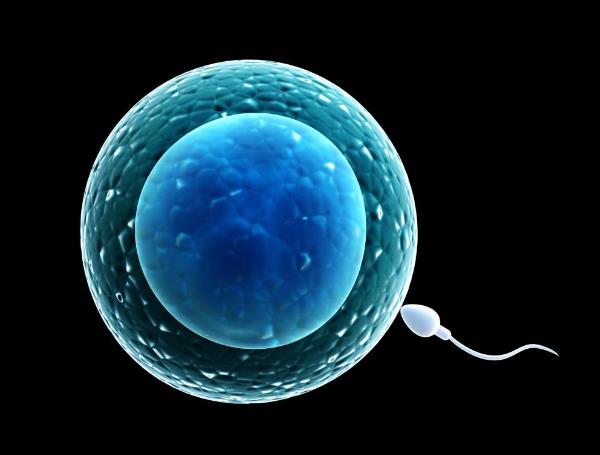 如果在月经期间有性生活，能不能怀孕？做供卵借卵代怀试管还有可能怀孕吗？