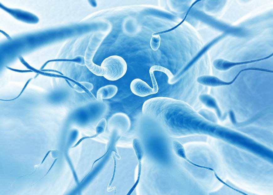 美国做供卵生子供卵试管囊胚移植后腿部酸痛会影响受孕吗？