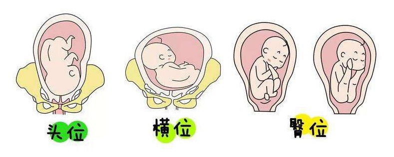 上海市第六人民医院做供卵代怀机构的费用与价格