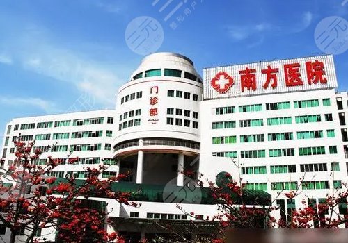 徐州市人民医院借卵试管代怀产子成功率高吗？费用要多少？