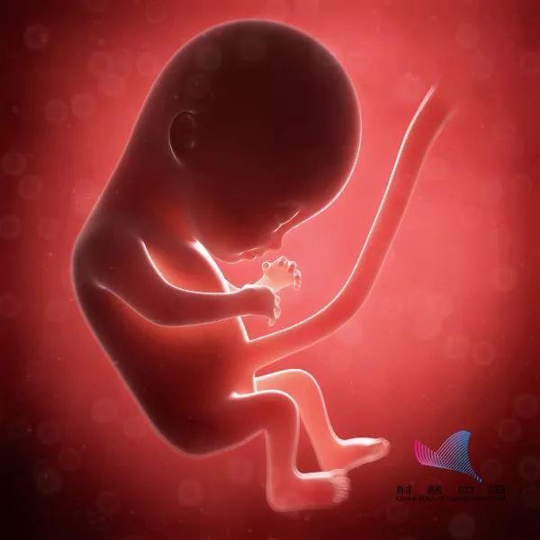 江苏徐州试管代怀的机构有哪些专家资讯+写给新手妈妈如何给宝宝做胎教？
